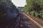 Image: Sixth image from the photoset 'rail'.