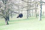 Image: Second image from the photoset 'sculpture'.