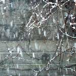 Image: Third image from the photoset 'see nerd (iv)'.