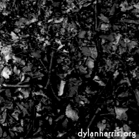 Image 'tannoy (i) 5'.