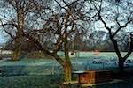 Fourth image from the photoset 'tempsford'.