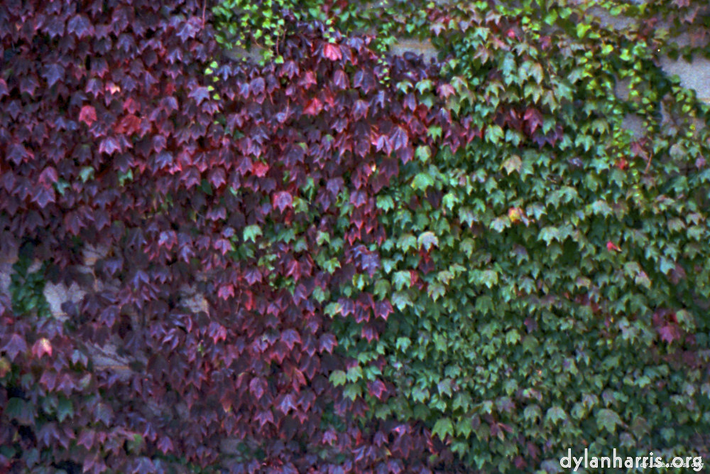 Image: Image 'texture (iii) 11'.