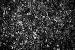 Image: Twelfth image from the photoset 'texture (iii)'.
