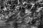 Image: Fourth image from the photoset 'texture (iii)'.