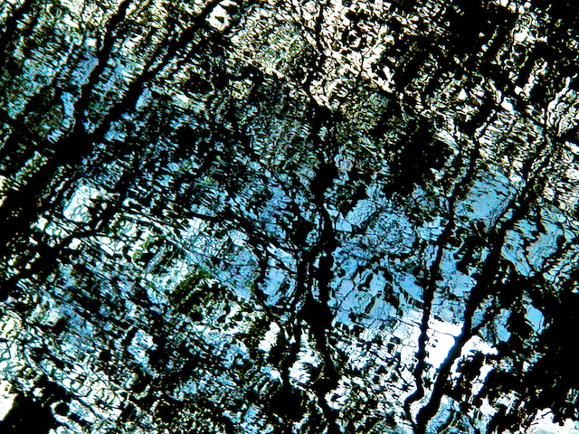 Image 'the pale, part 17'.