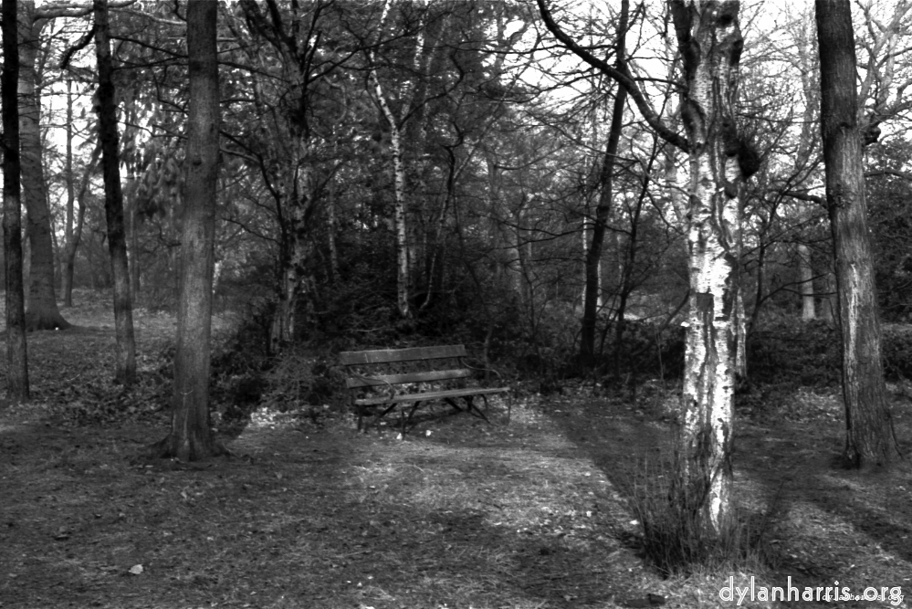 Image 'woods 2'.