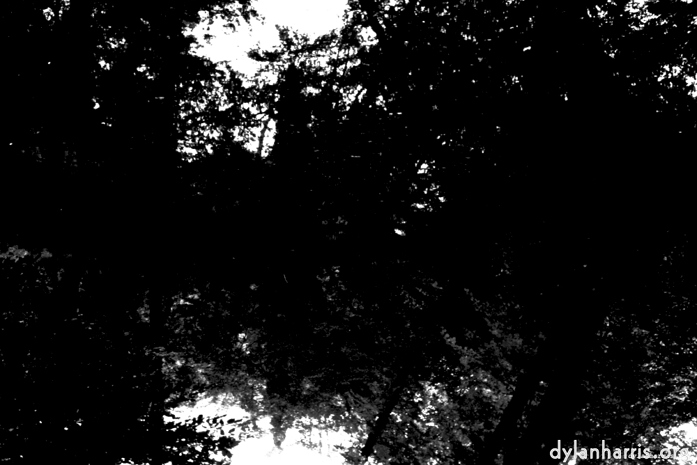 Image 'woods 3'.