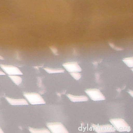 Image: Image 'wurm im apfel (iii) 2'.