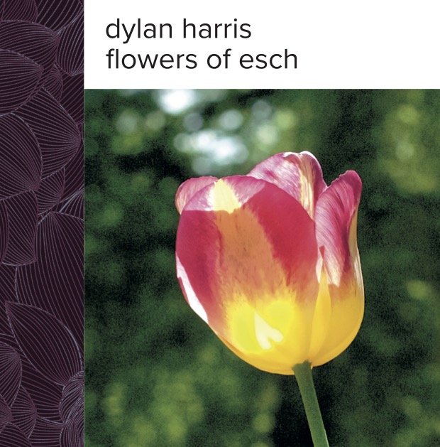 image: flowers of esch cover