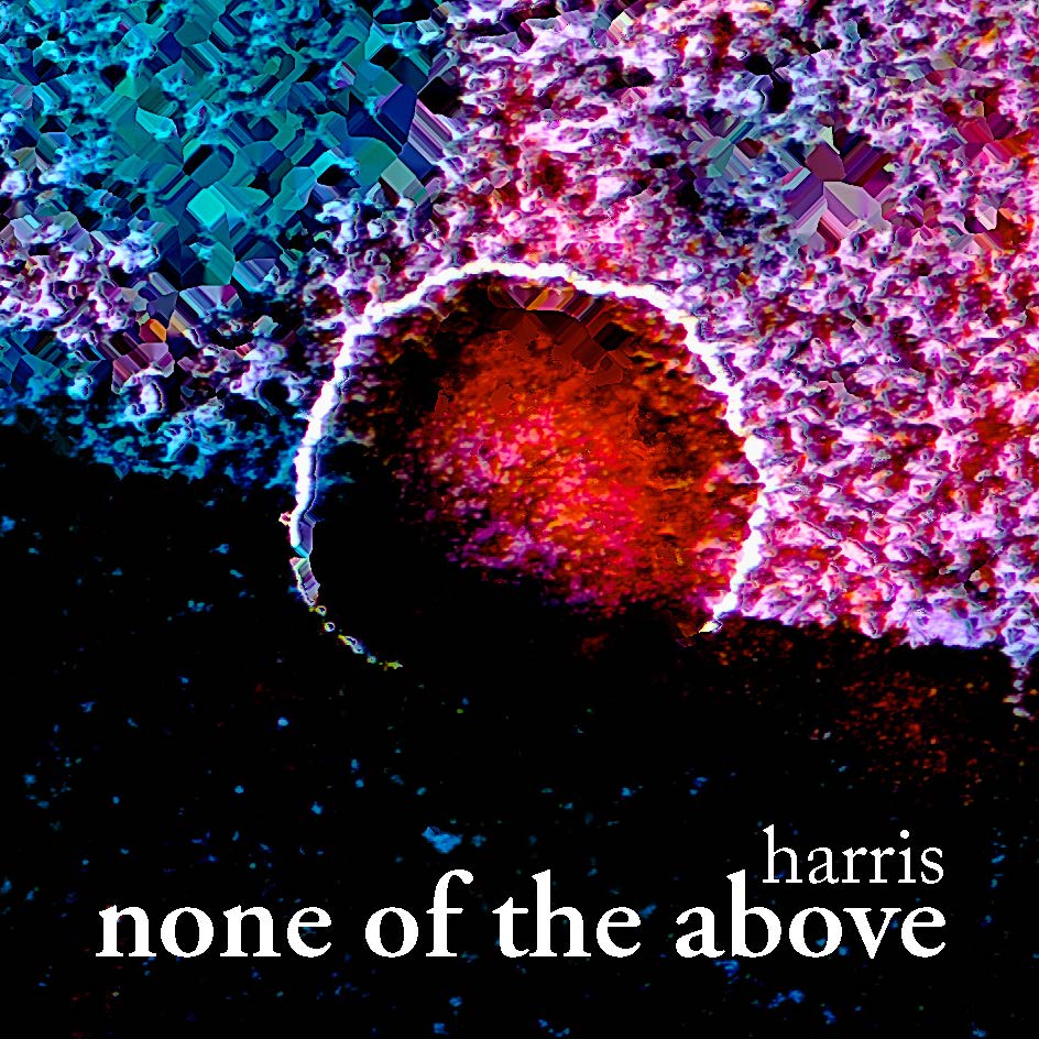 image: cover of none of the above