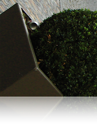 image: 
