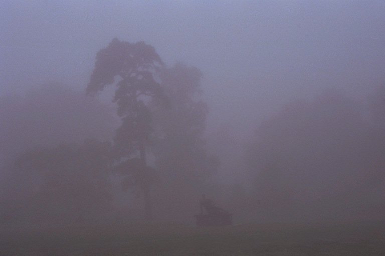 Statue in gardens in fog