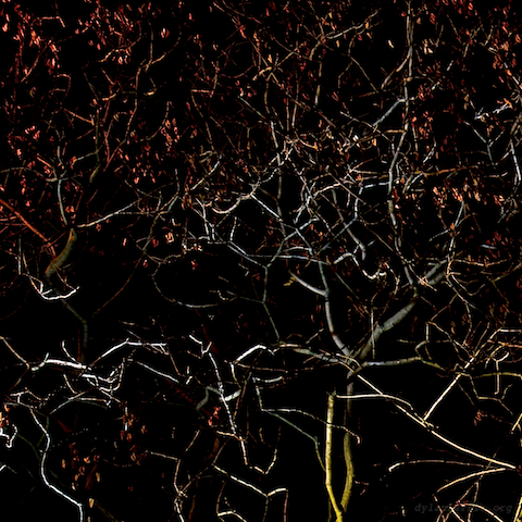 image: unlabelled image