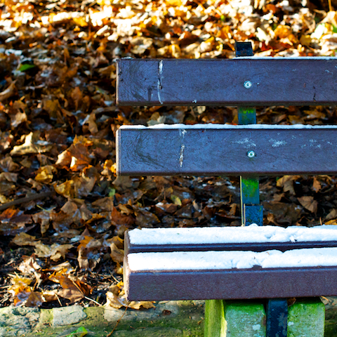 image: bench