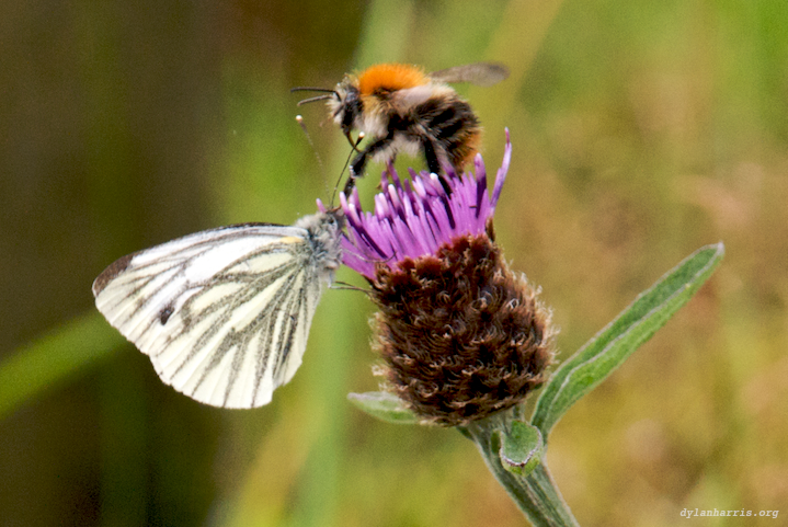 image: unlabelled image