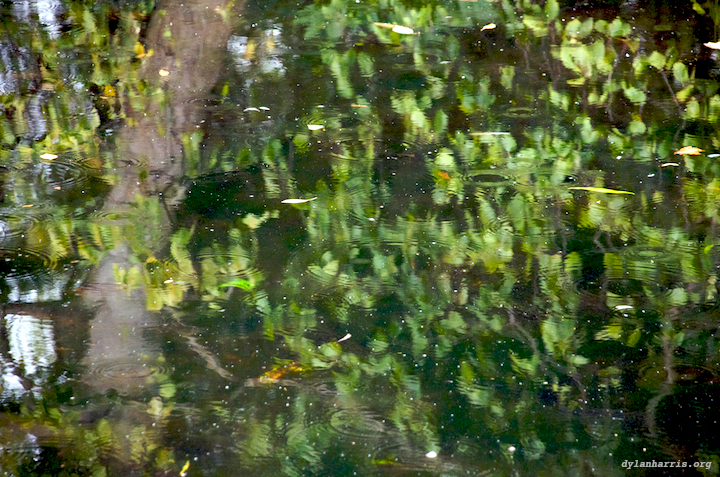 image: St. Stephens Green Pond