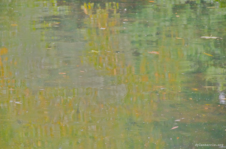 image: St. Stephens Green Pond