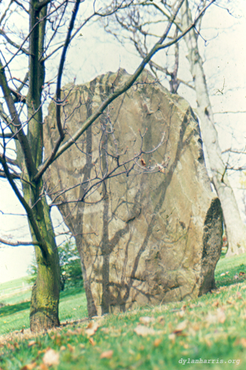 image: unlabelled image