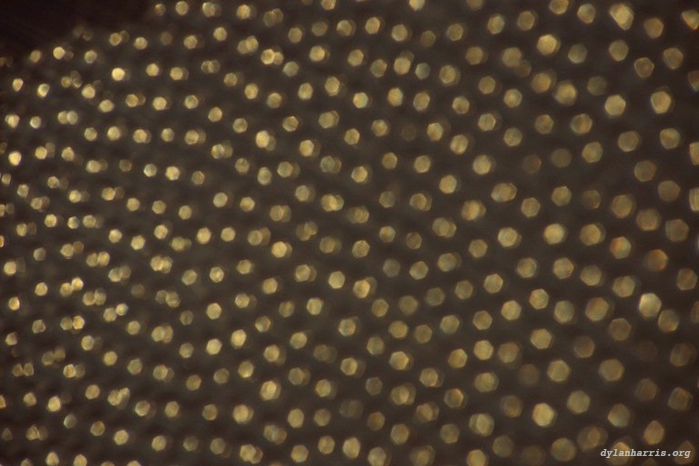 image: unlabelled image