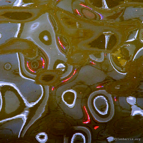 image: unlabelled image