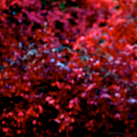 november