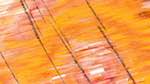 Seventh of 'reflets — msg — variations 1 3.5.1 new 1 1'.