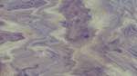 First of 'reflets — msg — variations 1 3.5.1 new 2 11'.