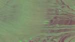 image: an image