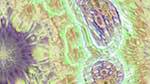 Eighth of 'reflets — msg — variations 1 3.5.1 new 2 2'.