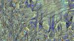 Second of 'reflets — msg — variations 1 3.5.1 new 2 5'.