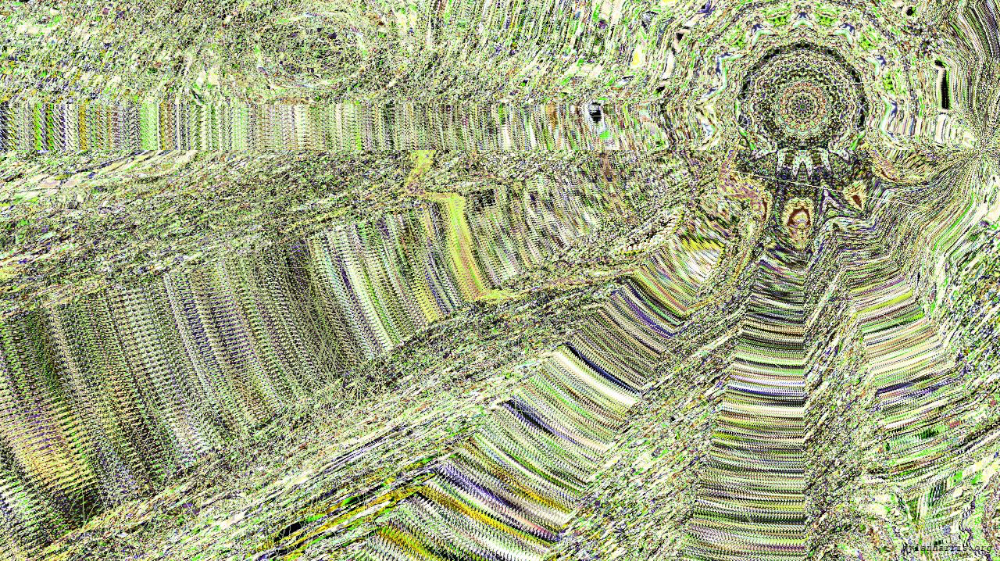 image: an image
