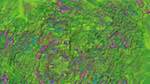 Eighth of 'reflets — msg — variations 1 3.5.1 new 2 7'.