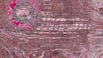 Fourth of 'reflets — msg — variations 1 3.5.1 new 2 8'.