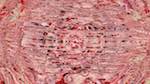 Fifth of 'reflets — msg — variations 1 3.5.1 new 3 3'.
