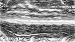 Fifth of 'reflets — paint synthesiser classic — wacom 3.0 wacom intuos demos 1'.
