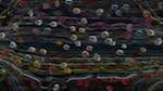 Fourth of 'reflets — paint action sequence — abstraction animation 1'.