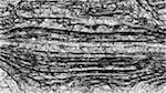 Fifth of 'reflets — paint synthesiser classic — users 1 aaa tucker 11'.
