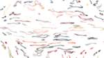 Eighth of 'reflets — paint synthesiser classic — users 1 aaa tucker 18'.