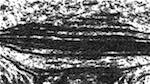 Fourth of 'reflets — paint synthesiser classic — users 1 aaa tucker 7'.