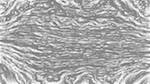 Second of 'reflets — paint synthesiser classic — users 1 aaa tucker 8'.