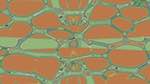 Eighth of 'reflets — msg — abstract 1 abstract 13'.