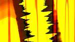 Seventh of 'reflets — msg — variations 0 abstract 9'.