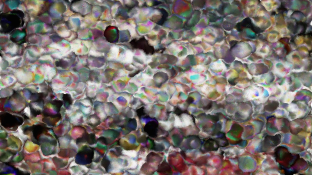 image: an image