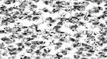 Fourth of 'reflets — paint action sequence — abstractions'.