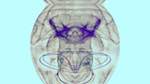 Fourth of 'reflets — msg — processing effects 1 anim test 1'.