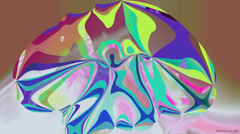 image: an image