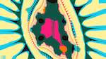 Third of 'reflets — msg — abstract 1 attractor 1'.