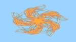 Seventh of 'reflets — msg — abstract 1 attractor 4'.