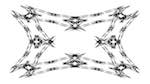 Second of 'reflets — msg — abstract attractors black & white 2'.