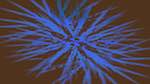 Fourth of 'reflets — msg — abstract attractors circular 2'.